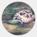 Recherche de peinture de tortue autocollants Faune