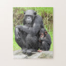 Zoek naar apes puzzels Primaat