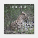 Recherche de sud africain magnets Safari