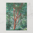 Recherche de nue cartes postales Arbre