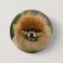 Recherche de bob badges Photographe canin
