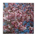 Recherche de blossom carreaux Printemps