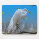 Recherche de arbre blanc tapis souris Sauvage