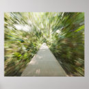 Recherche de forêt tropicale art Extérieur