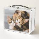 Zoek naar animal lunchboxen Grappig
