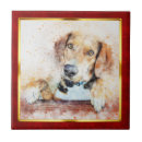 Recherche de peinture animale carreaux Abstrait