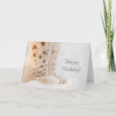 Recherche de fourrure cartes postales Pattes