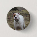 Recherche de amicale badges Pour elle