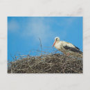 Recherche de stork cartes postales Nature