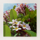 Recherche de plantes tropicales puzzles Pour elle