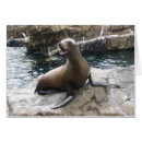 Recherche de pinniped Mammifères
