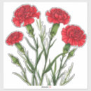 Zoek naar rode anjer stickers Rood