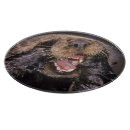 Recherche de loutre planches à découper Littoral