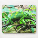 Zoek naar chameleon muismatten Dieren