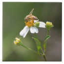 Recherche de abeille miel carreaux Fleur