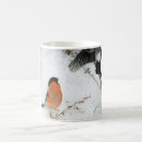 Recherche de chasse de renard tasses Animal