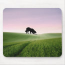 Recherche de border collie tapis souris Frontière