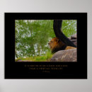 Recherche de citation lion posters Afrique