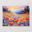 Recherche de marguerite violette cartes postales Marguerites