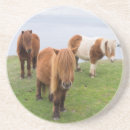 Recherche de banque dessous de verres Animal