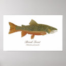 Recherche de trout posters Salmon