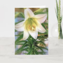 Zoek naar lilium kaarten Leugenachtig
