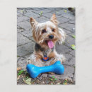Recherche de os de chien cartes postales Amoureux des chiens