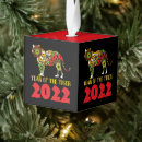 Zoek naar chinese tijger ornamenten Jaar van de tijger