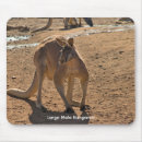 Recherche de animaux australiens tapis souris Kangourou
