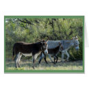 Recherche de burro Famille