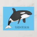 Zoek naar cartoon walvis briefkaarten Orka