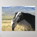 Zoek naar black horse kunst Mosterang