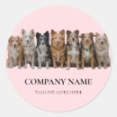 Recherche de garde de chien autocollants Gardien d'animaux