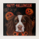 Recherche de springer spaniel puzzles Espagne