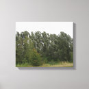 Recherche de paysage impressions sur toile Arbres