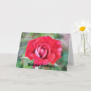 Zoek naar roos rood kaarten Floreel