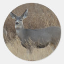 Recherche de mules autocollants Cerf