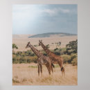 Zoek naar natuurlijke wereld posters Wild