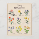 Zoek naar victoriaans bloemen briefkaarten For her