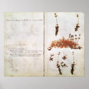 Zoek naar herbarium posters Jean