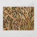 Recherche de camouflage cartes postales Chasse