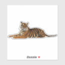 Zoek naar tijger strepen stickers Roofdier
