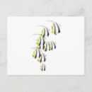 Recherche de poissons tropicaux cartes postales Poisson tropical
