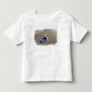 Zoek naar ijsvogels kleding Natuur