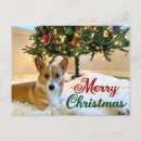 Recherche de chiot de vacances cartes postales Mignon
