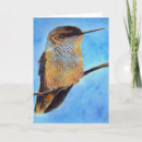 Recherche de colibri coloré cartes postales Peinture