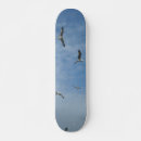 Zoek naar vlieg skateboards Schaats