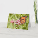Recherche de pollen vœux cartes Fleur