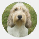 Recherche de basset autocollants Mignon