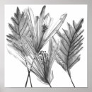 Zoek naar silhouet posters Botanisch